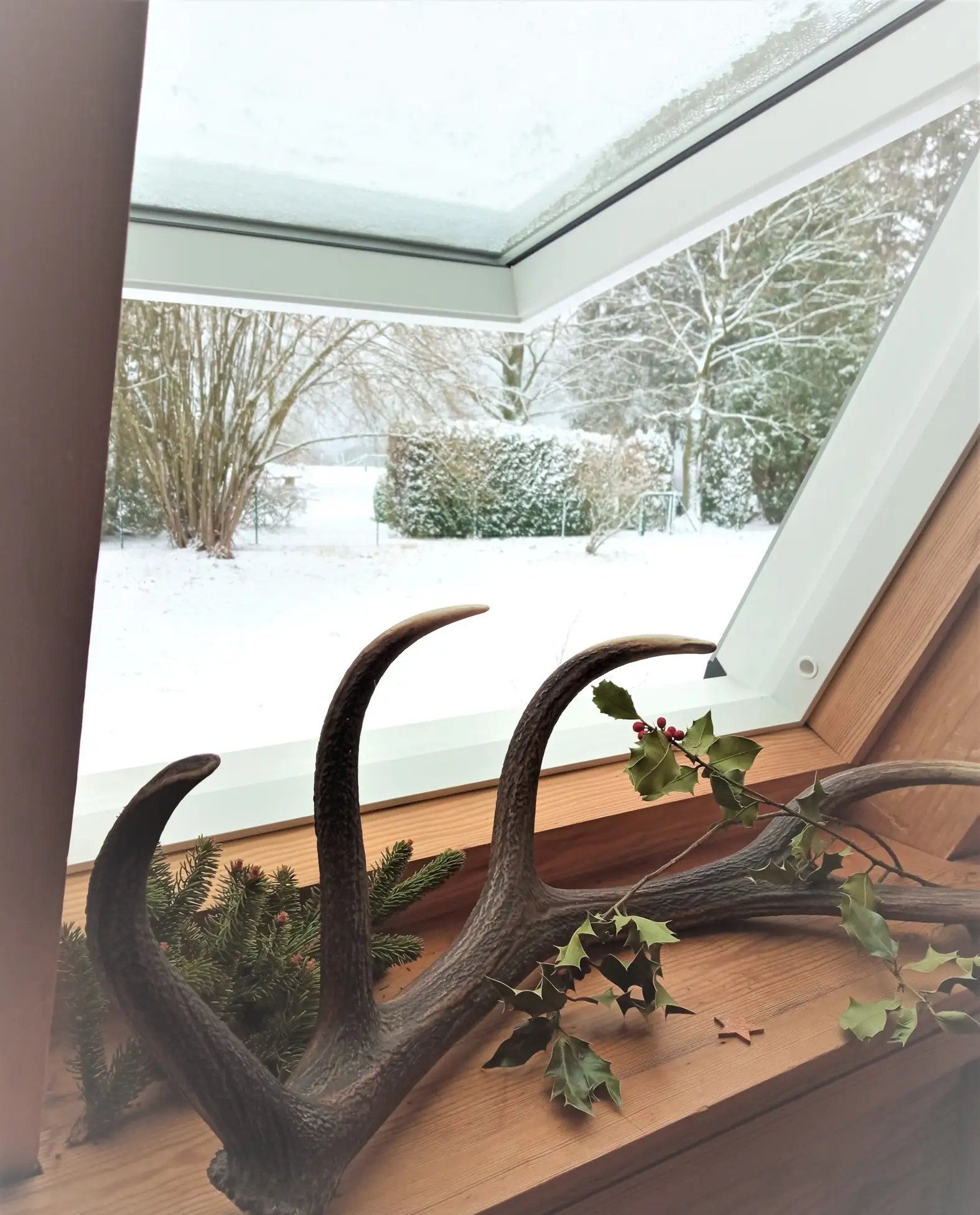 Cottage for 5 people in La Roche-en-Ardenne Le Chalet Pointu du Bout du Monde